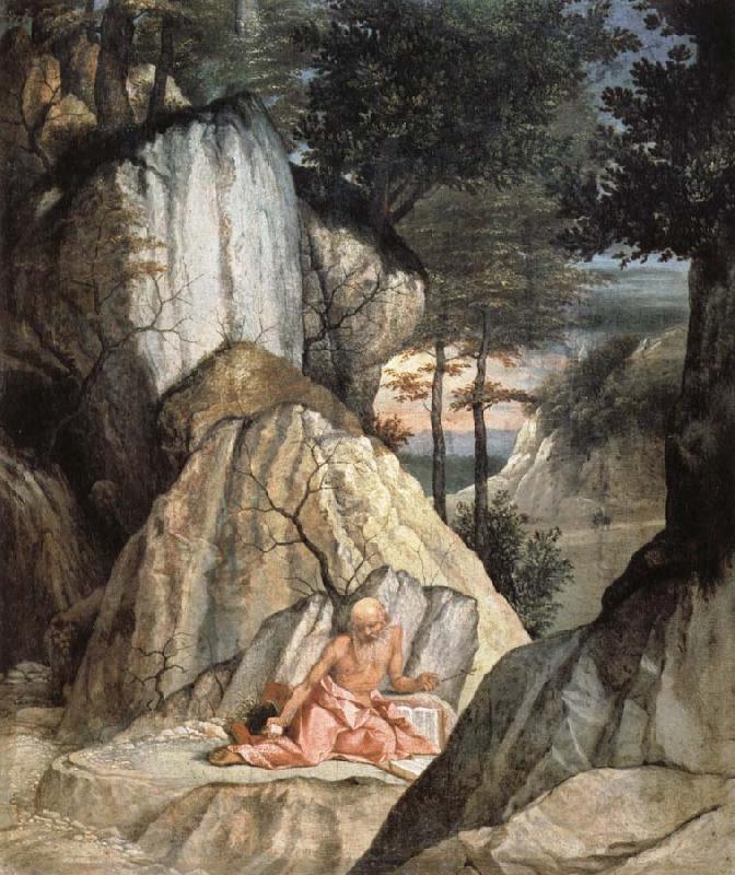 Lorenzo Lotto St. Jerome in penitence Spain oil painting art